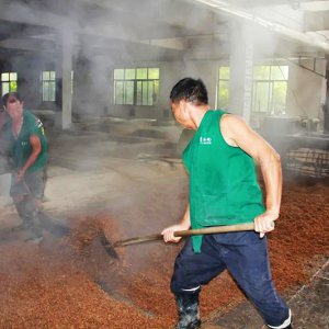 喚醒兩千余條窖池，新的釀酒季由此開始